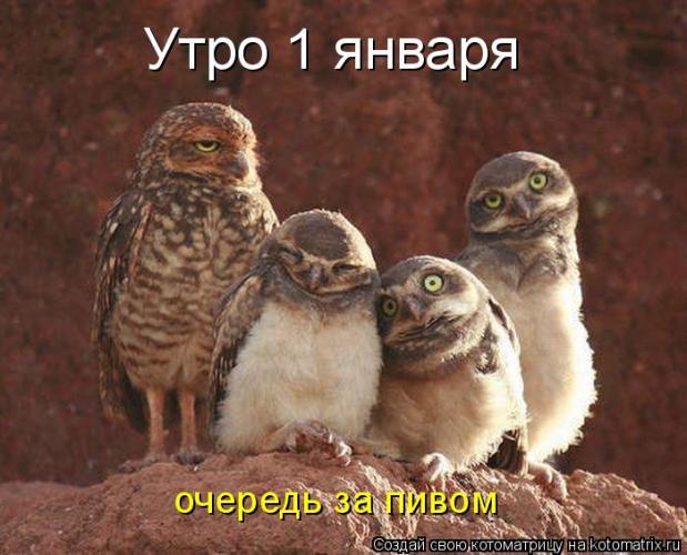 post-12-0-59672200-1420103177_thumb.jpg