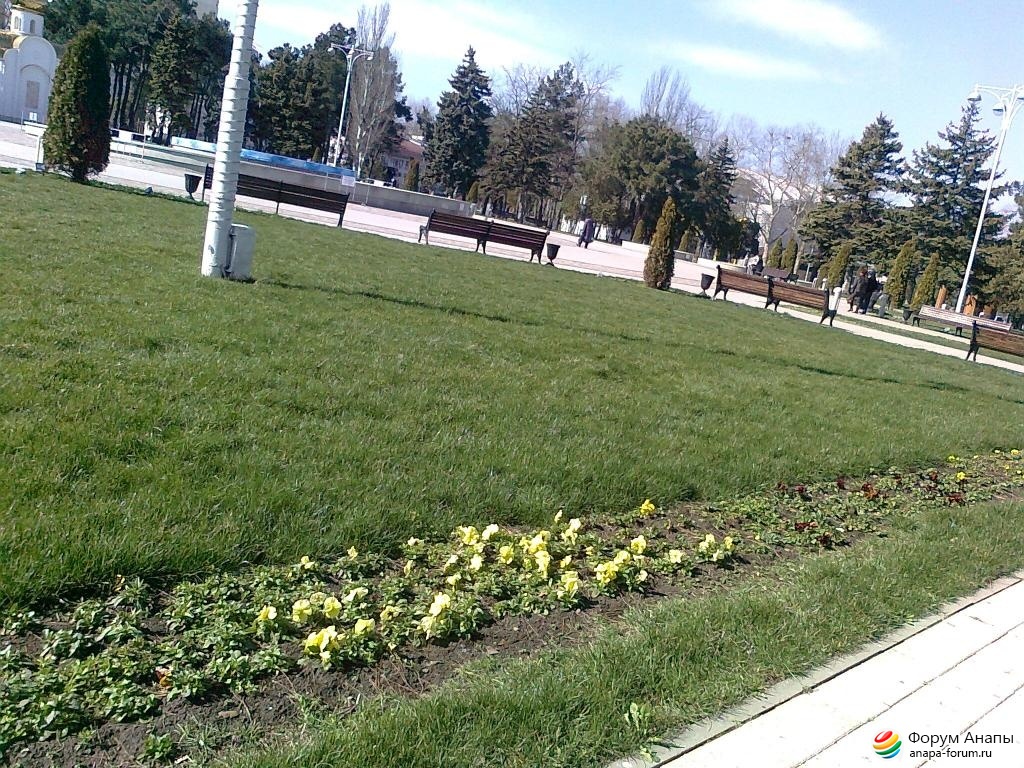 post-145-0-04753900-1425575276_thumb.jpg