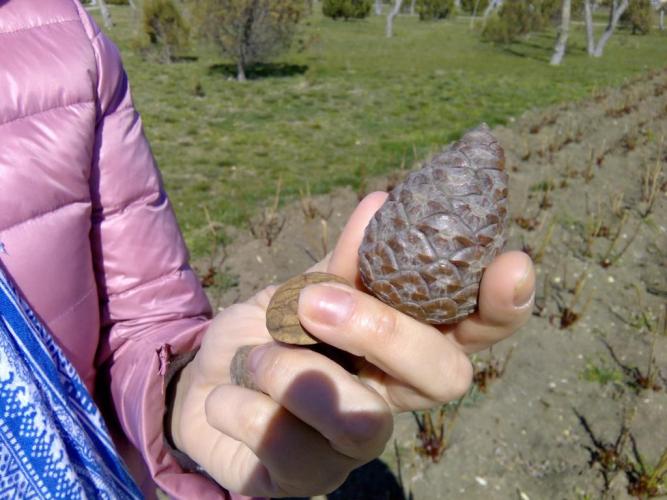post-16-0-10738000-1427305939_thumb.jpg