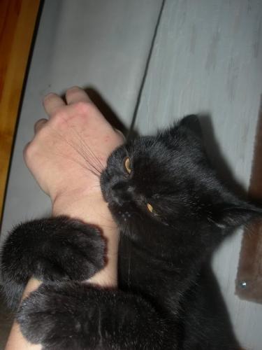 post-29-0-42544200-1430733093_thumb.jpg