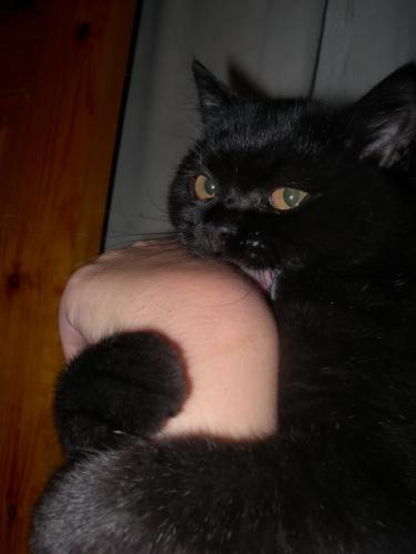 post-29-0-92329900-1430733092_thumb.jpg