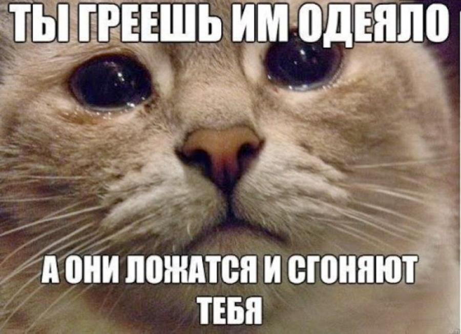 post-3-0-31808800-1411894777_thumb.jpg