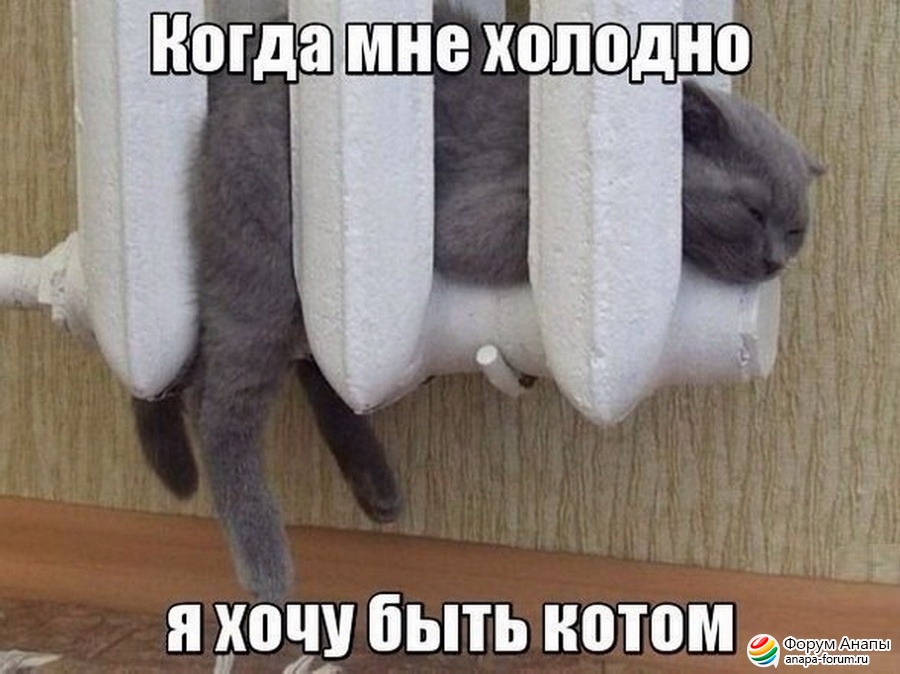 post-3-0-70578500-1416210272_thumb.jpg