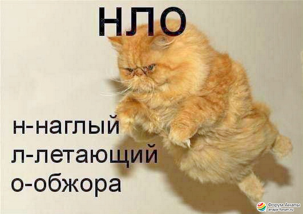 post-3-0-96515700-1416210261_thumb.jpg