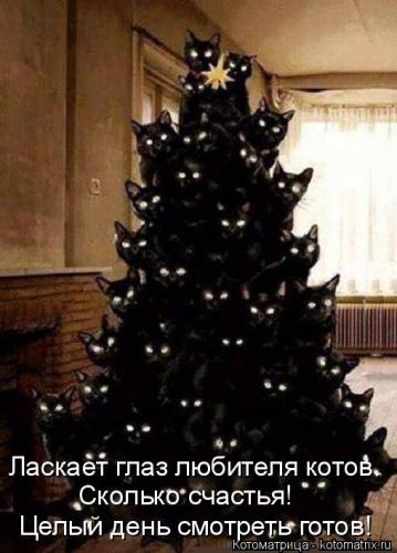 post-67-0-14909700-1417799558_thumb.jpg
