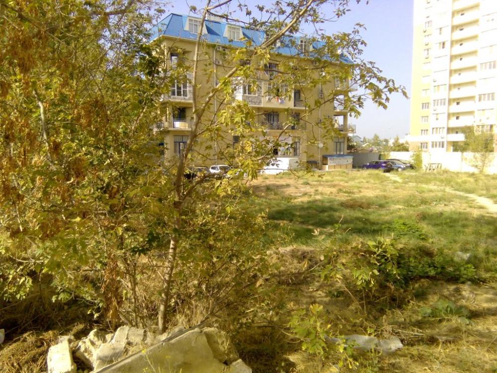 IMG_20150921_151030.jpg