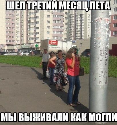 56379ef074445_2.jpg.9ca195d7c5b0f8569bd3