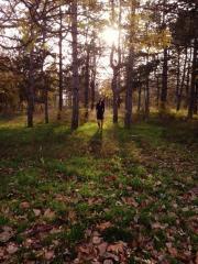 IMG-7280.JPG