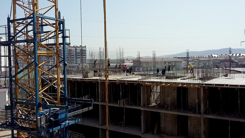 20160408_114803.jpg