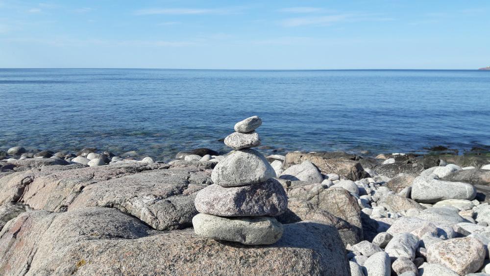 20160502_153558.jpg