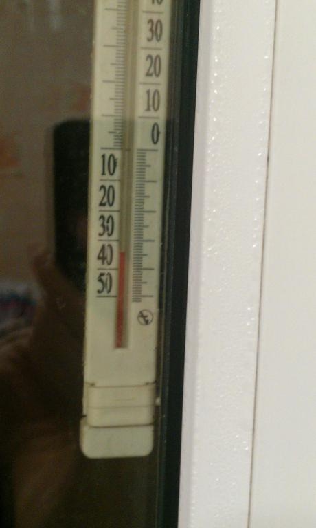 IMAG1299.jpg