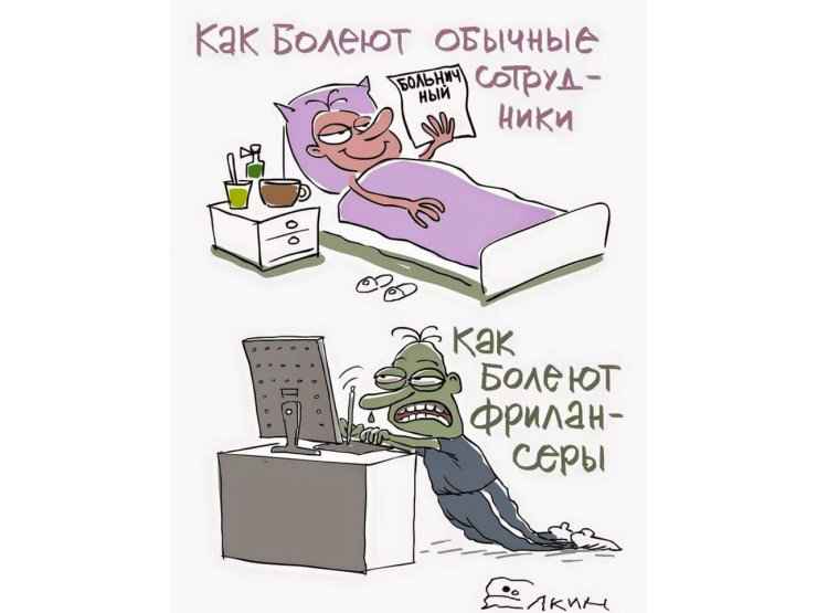 фрл.jpg