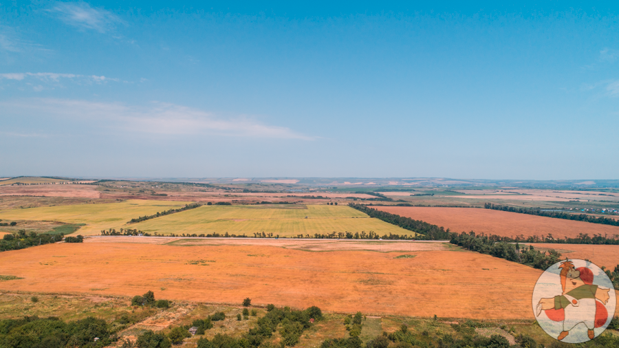 DJI_0067-2.png