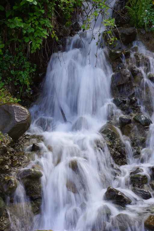 DSC08050.JPG