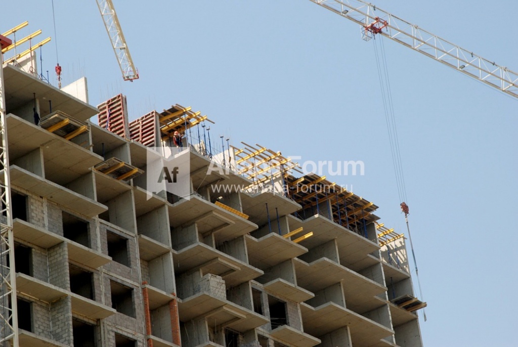 DSC_8486.jpg.482249bd53af75f86cd89bdf66c40b7a.jpg