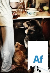 2171842.jpg