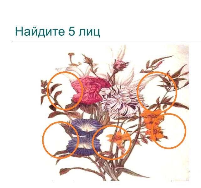 5face.jpg.f9984e2cdfa3090a1ce094186aac0aa1.jpg