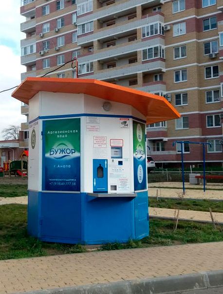 бужор.jpg
