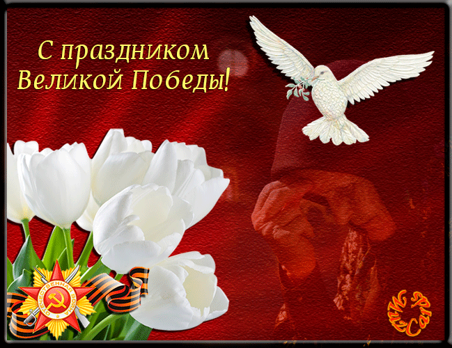 image.gif.99fc1e7b2831234e8ea020b5e74f5cd3.gif