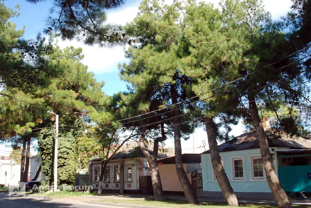 DSC_9613_новый размер.JPG