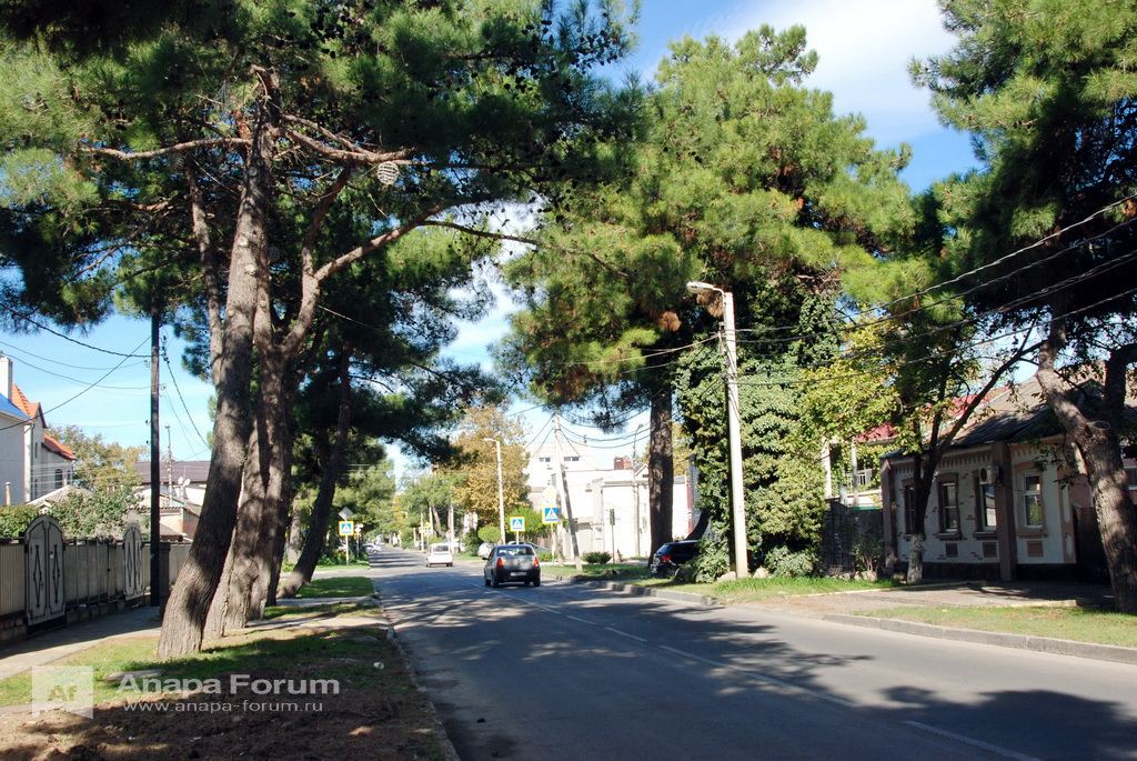 DSC_9614_новый размер.JPG