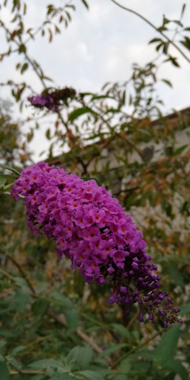 imgonline-com-ua-Compressed-XiypAICHPgGB.jpg.059535ab4adaf8eec7c93bf08e138ff8.jpg