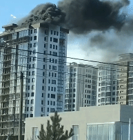 5bed33664bd60__2018_11_15_13_43_03_592.gif.4fa29fdacfdc27a2d05389d521e53634.gif