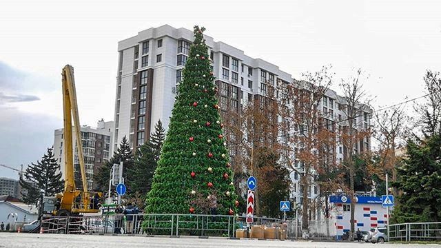 2019.jpg.fa3b710363dd332e26a9eb8190d04387.jpg