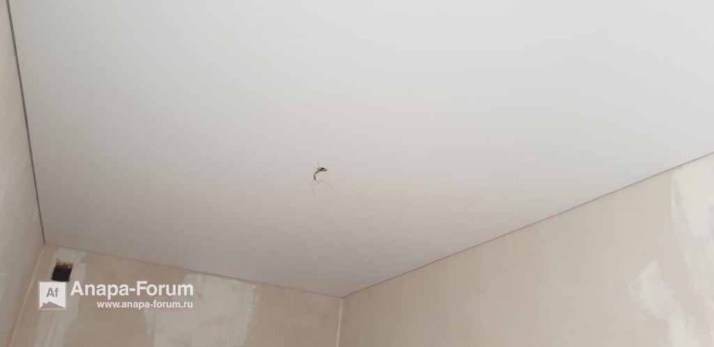 img508281250320191453.jpeg.55e83793eb16bb988c10202cc590410c.jpeg