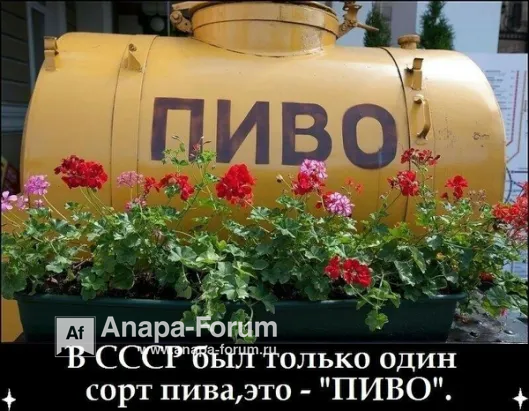 image.png.94ef8e2c068311dee87ee759d82e8e10.png