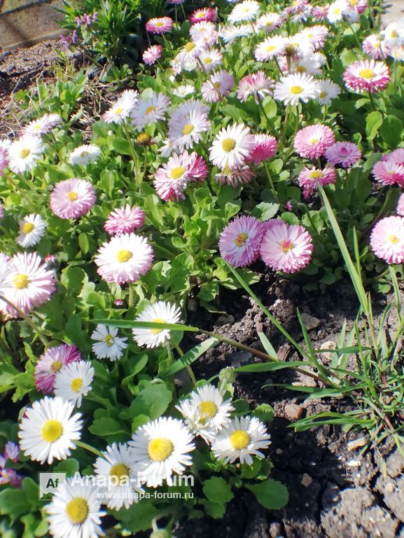 IMG_20210423_111715.jpg