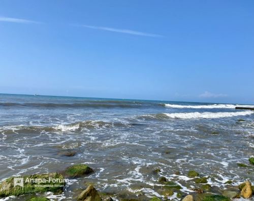 D2718D4D-84BF-4BC9-99F2-F64899181739.jpeg