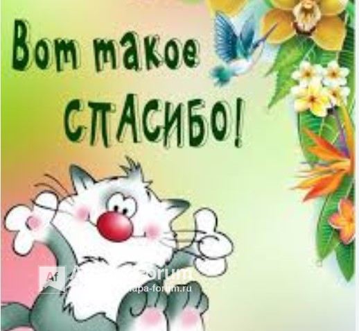 спасибо.jpg